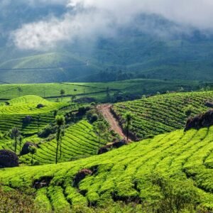Kerala Holiday Packages